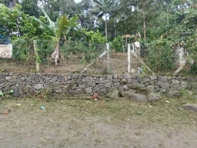 Rambutan Farm Land (Ideal for Farmhouse) for Sale at Upputhara, Idukki