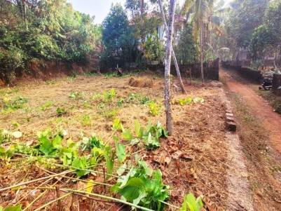Land for sale in Kunhimangalam, Kannur