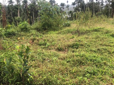 Land for Sale at Muttil South, Wayanad