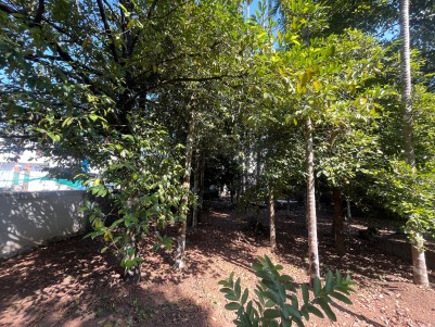Plot For Sale Near Cochin International Airport, Nedumbassery