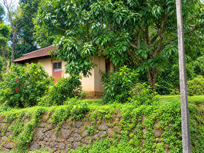 Land with an Old House for Sale at Konni, Pathanamthitta