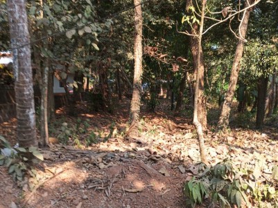 Land for Sale at Kuyyali, Thalassery, Kannur