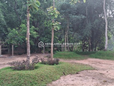 Premium Plots for Sale near Nadavayal, Wayanad 