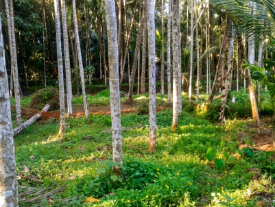 Land for Sale at Naduvannur, Kozhikode