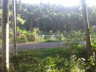 Land for Sale at Naduvannur, Kozhikode