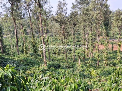 Prime Commercial Property for Sale in Vaduvanchal, Wayanad