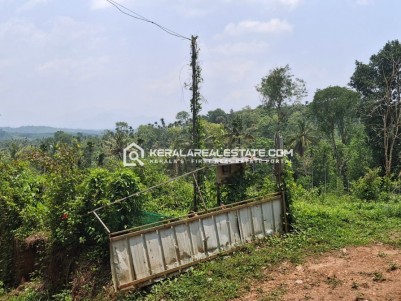 Land for Sale at Kenichira, Wayanad