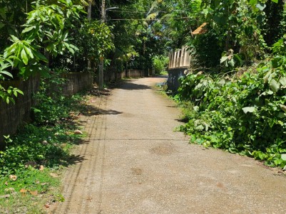 4,5,10 cent land sale at kariyavattam
