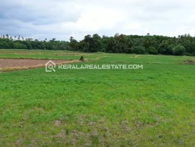Land for Sale in Puthucode, Palakkad