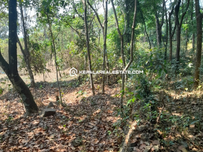Land for Sale in Rayamangalam, Perumbavoor, Ernakulam