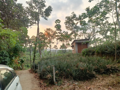 Land for Sale in Pampady, Kottayam 
