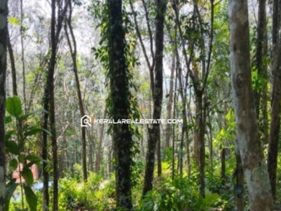 Land for Sale in Cherukulanji, Ranni, Pathanamthitta