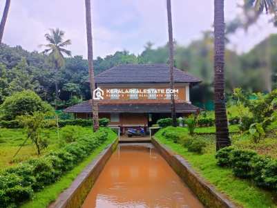 Traditional Old Mana/Nalukettu House for Sale in Palakkad