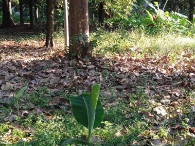 Land for Sale in Kodanad, Ernakulam 
