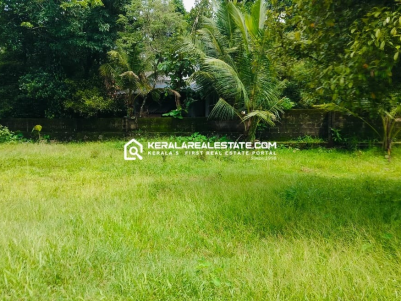 Land for Sale in Angamaly Town, Ernakulam 