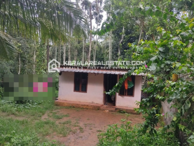 2 BHK House for Sale in Karani, Wayanad