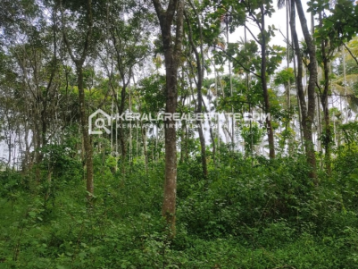 Prime Rubber Plot for Sale in Kenichira, Wayanad
