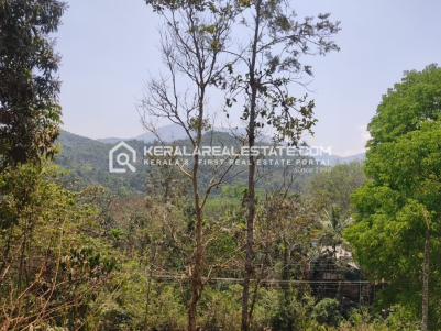 Estate for Sale in Valat, Wayanad
