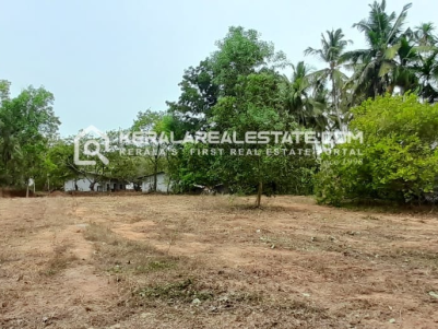 Residential Land for Sale in Venduttayi, Pinarayi, Kannur