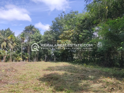 Land for Sale in Meenangadi, Wayanad 
