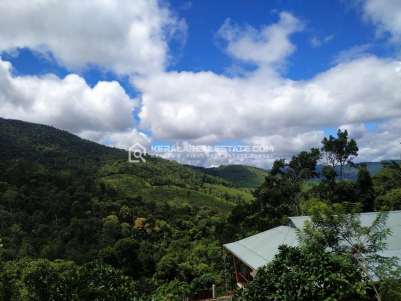 Resort with Plantation for Sale in Thekkady, Idukki 