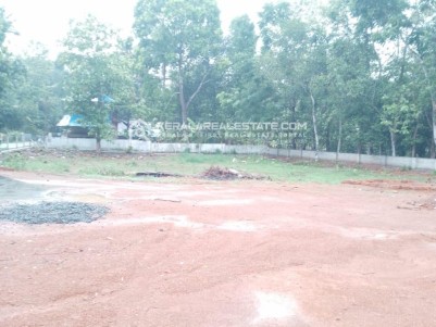 Land for Sale in Kakkanad, Ernakulam 
