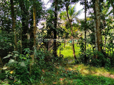 Residential Land for Sale in Mavelikkara, Alappuzha 