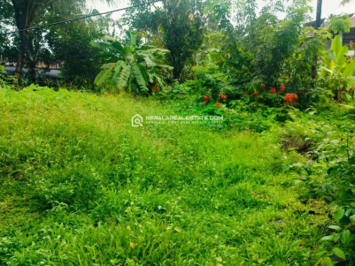 Prime Land for Sale in Chethicode, Ernakulam
