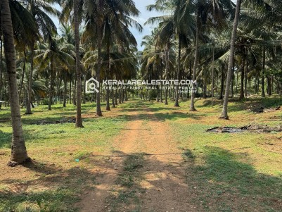 Farm Land for Sale in Kotathara, Wayanad