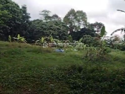 Square Plot for Sale Near Kakkanad Infopark, Ernakulam