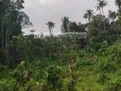 Land for Sale Near Ramangalam Govt. Hospital, Ernakulam