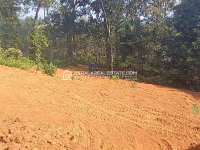 Land for Sale near Uzhavoor Road, Pala, Kottayam