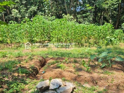 Land for Sale in Nedumpana, Kollam 