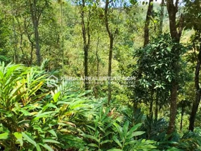 Prime Land for Sale in Idinjamala, Idukki