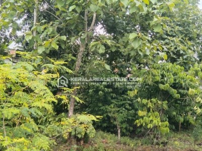Land for Sale in Muvattupuzha, Ernakulam 