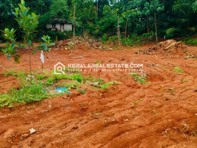 Houseplots for Sale in Nedumbassery, Ernakulam 