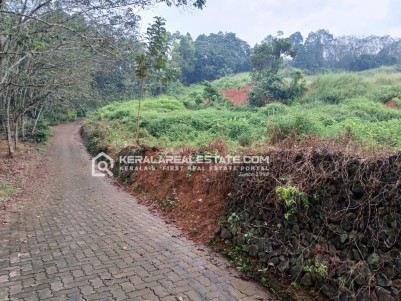 Commercial Land for Sale in Kizhakkambalam, Ernakulam 