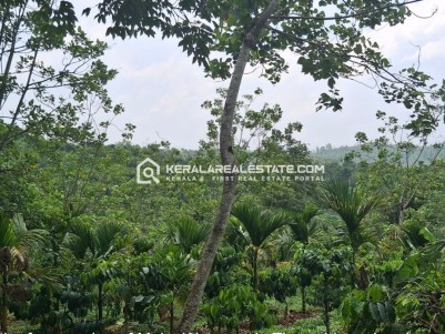 Land for Sale at Kenichira, Wayanad