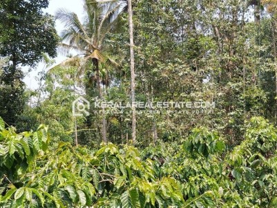 Land for Sale at Krishnagiri, Wayanad