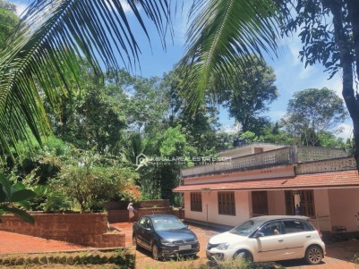 Land for Sale at Kenichira, Wayanad