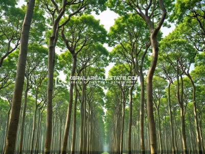 Prime Agricultural and Farm Tourism Property for Sale in Kasargod 