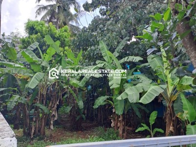 Residential Land for Sale in Ayyanthole, Thrissur 