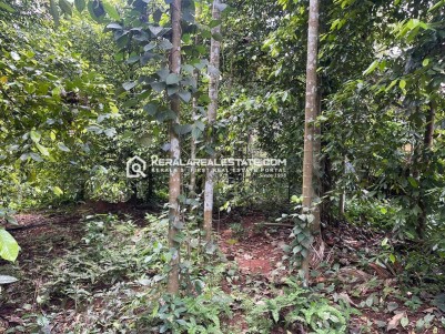 Residential Plot for Sale in Kaninadu, Near Puthencruz, Ernakulam 