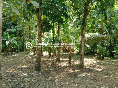 Land for Sale in Mankuttipadam, Kodaly, Thrissur 