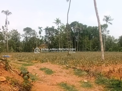 Land for Sale in Maneed, Ernakulam