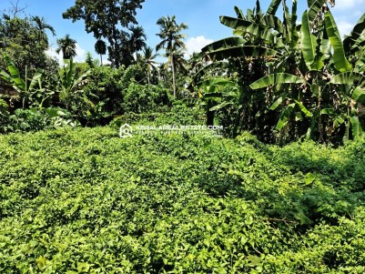 Residential Plot for Sale in Thoppumpady, Ernakulam 