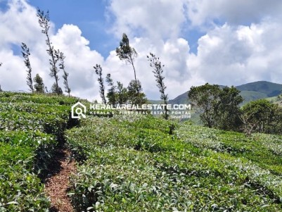 Plantation for Sale in Valakode, Vagamon, Idukki 
