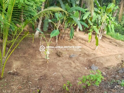 Residential Land for Sale in Aymanam, Kottayam 