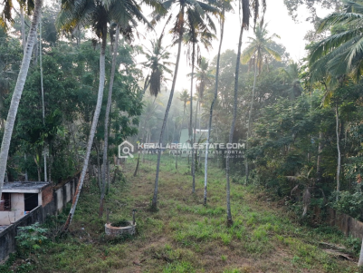 Land for Sale in Venganoor, Trivandrum
