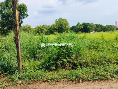 Land for Sale Near Cochin International Airport, Ernakulam 